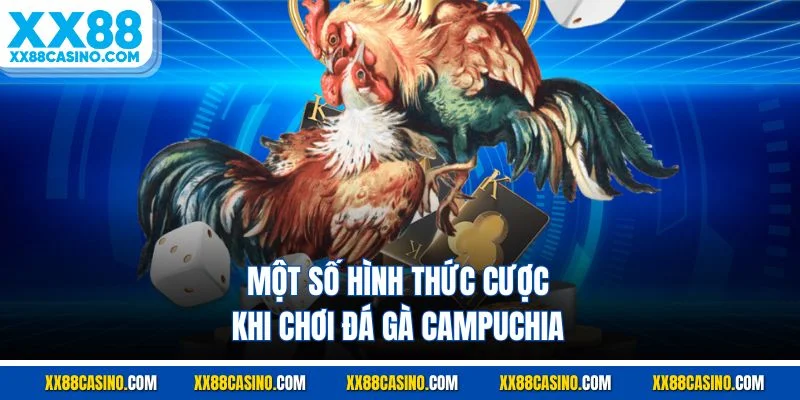Một số hình thức cược khi chơi đá gà Campuchia